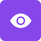 vision icono