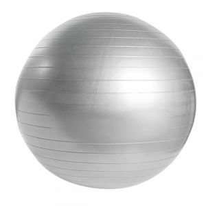 PELOTA DE PILATES WELLNESS